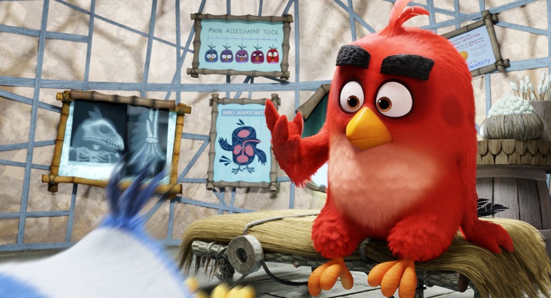 EventGalleryImage_AngryBirds_800i.jpg
